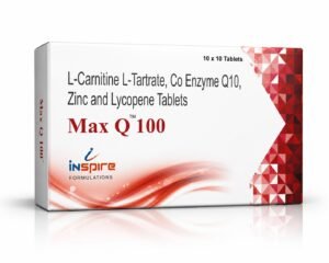 Max Q 100
